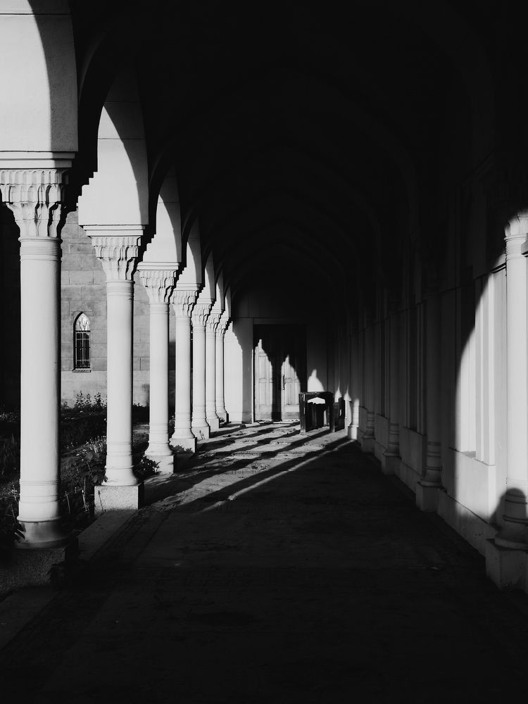 Photograph by Алиса Нежинская