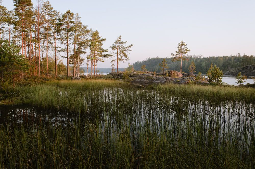 Photograph by Сергей Дивид