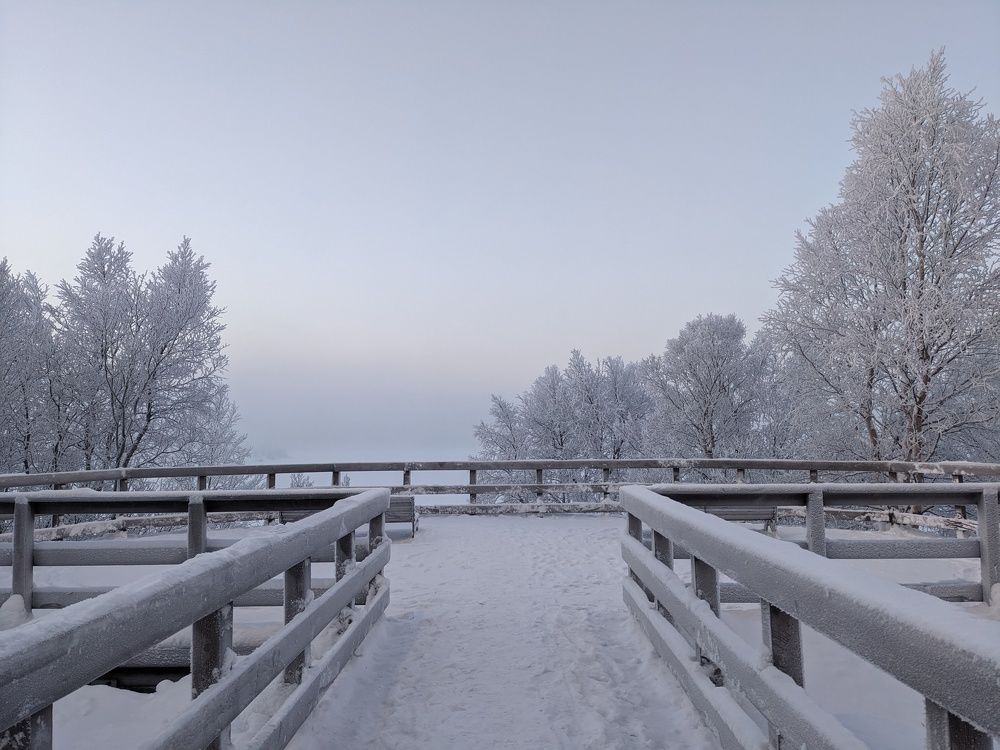 Photo #10939158