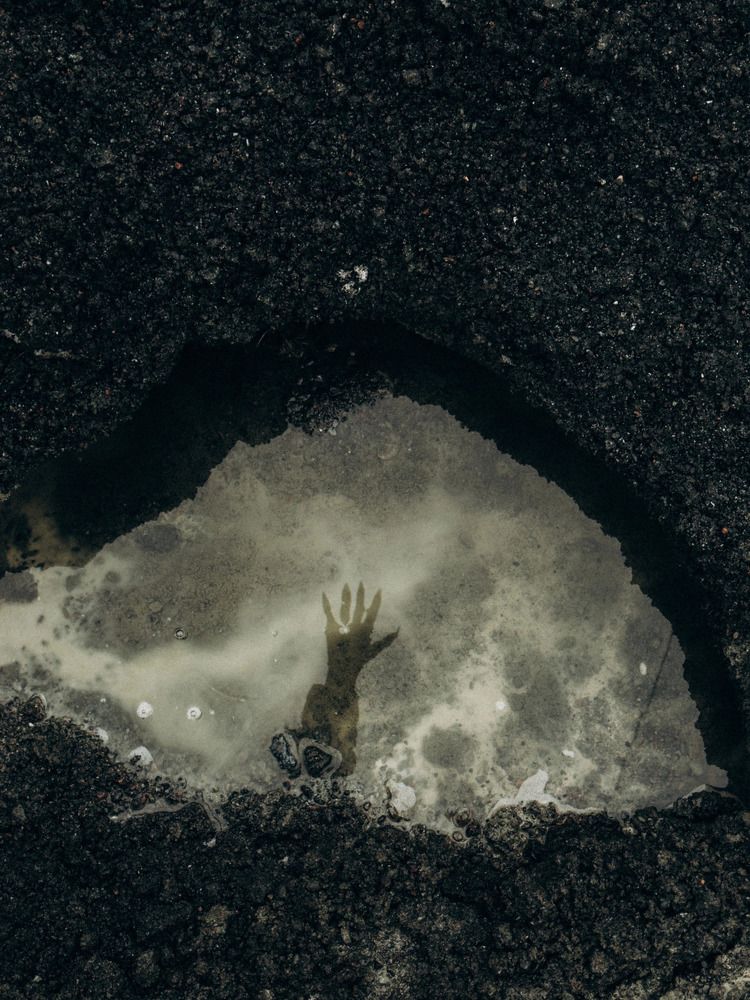 Photograph by Алиса Нежинская