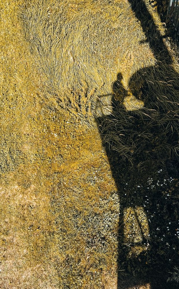 Photograph by Mishel Photographer