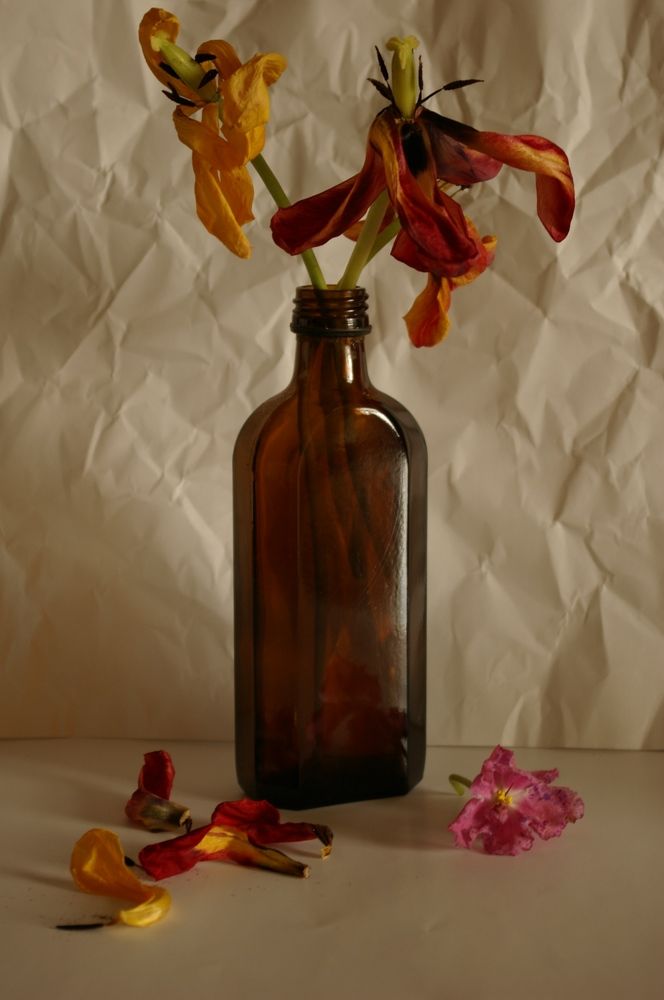 Photograph by Елена Алешкевич