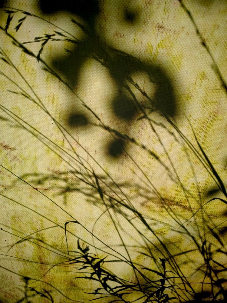 Photograph by Юлия Седова