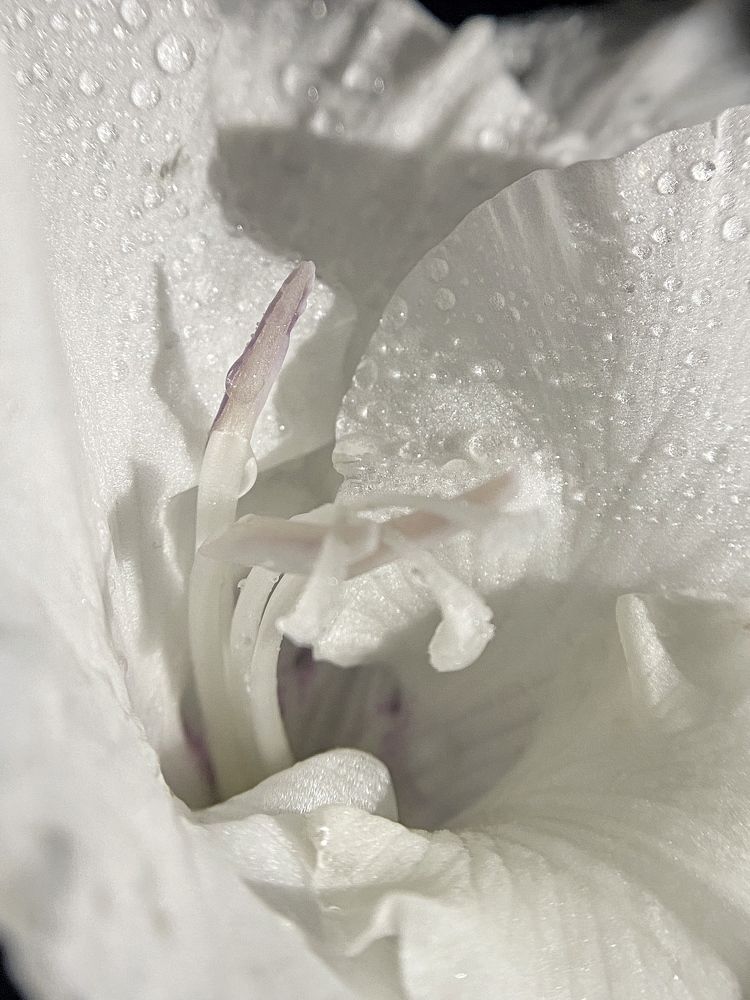 Photograph by Станислава Садыкова