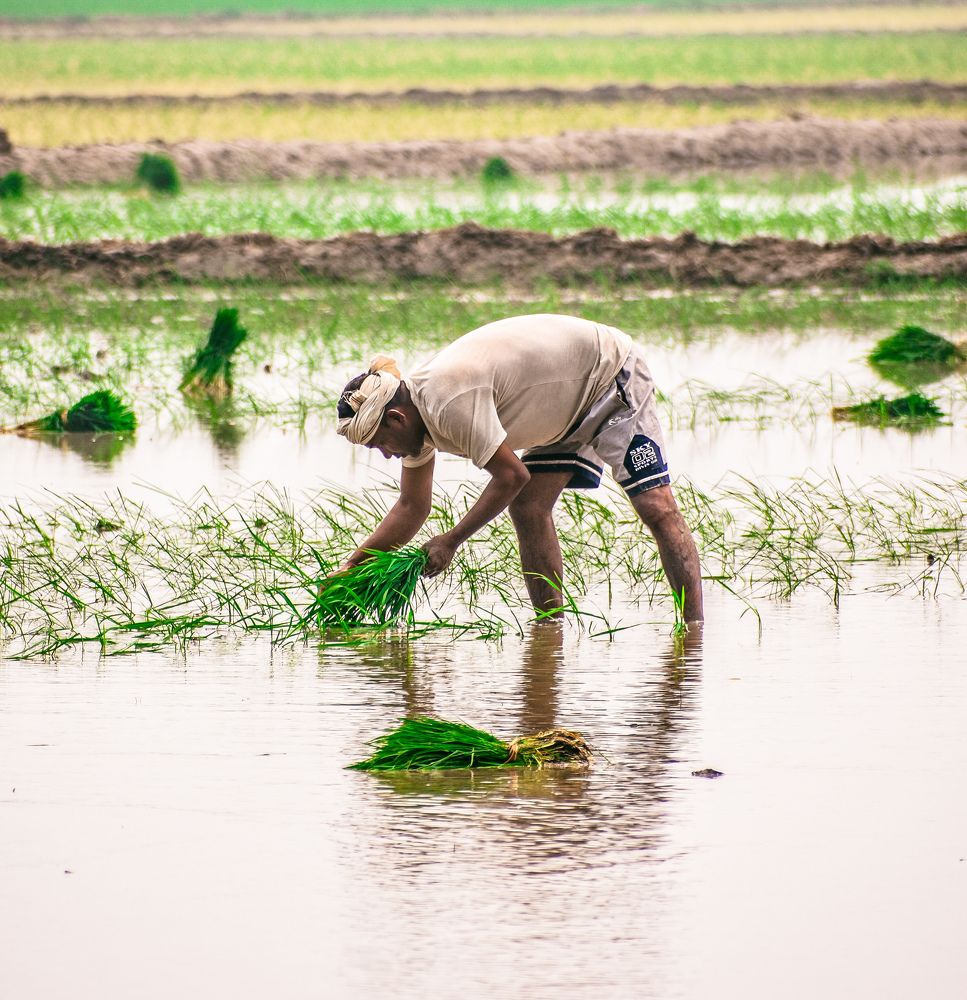 Photograph by AJAY KUMAR