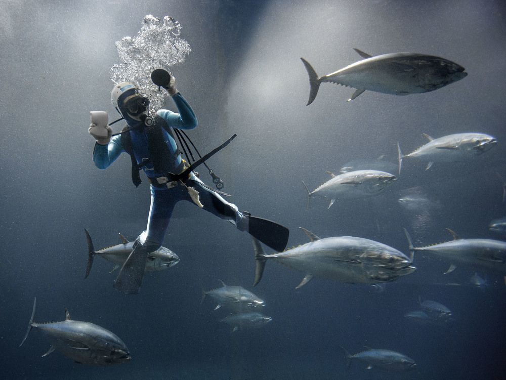 Photograph by Сергей Метелица