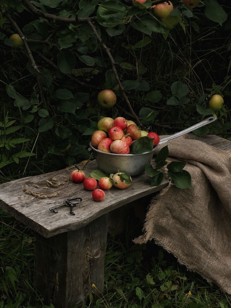 Photograph by Angelica Medvedeva