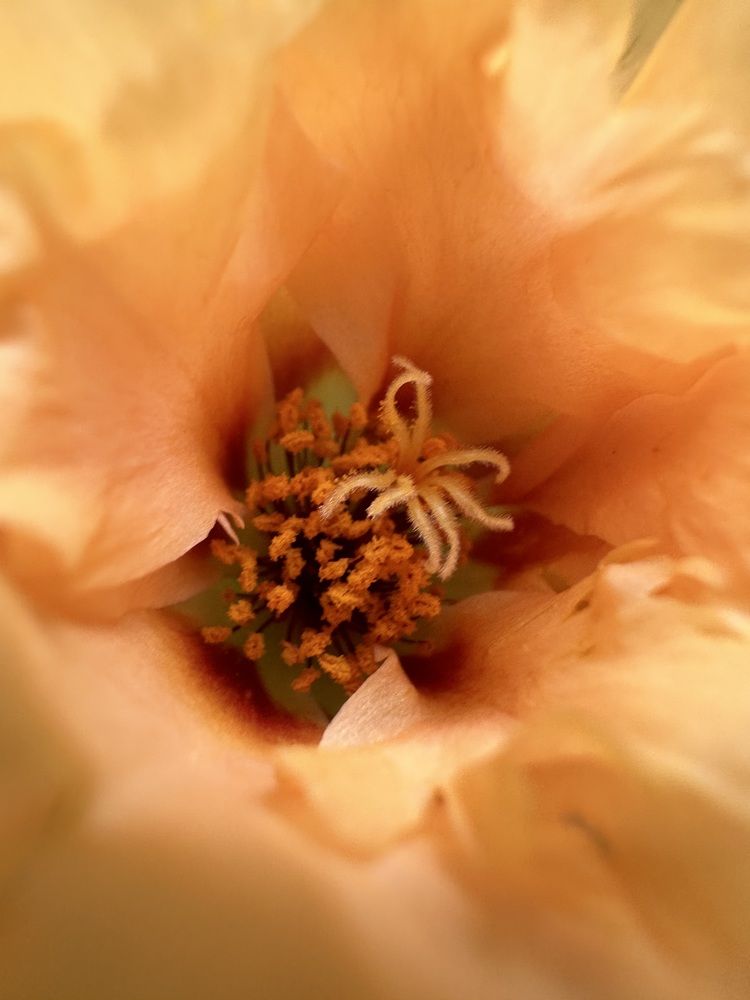 Photograph by Наумова Татьяна