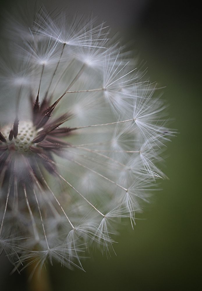 Photograph by Ирина Хламова