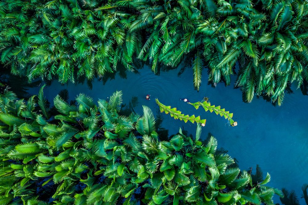 Photograph by Quang Nguyen