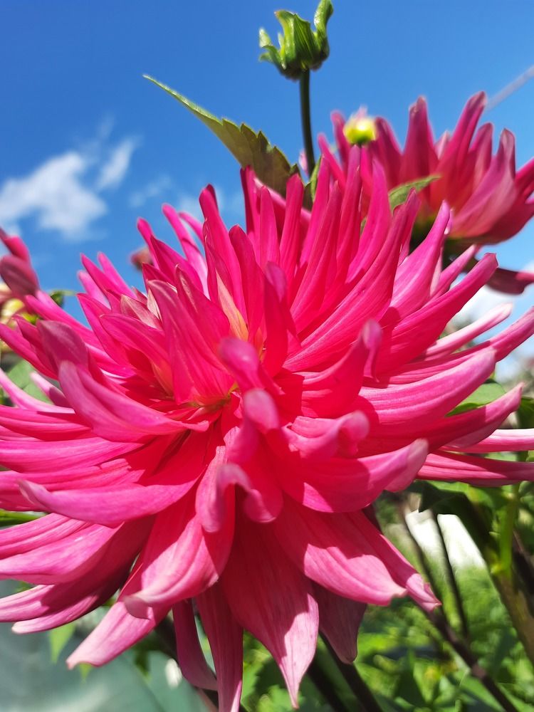 Photograph by Татьяна