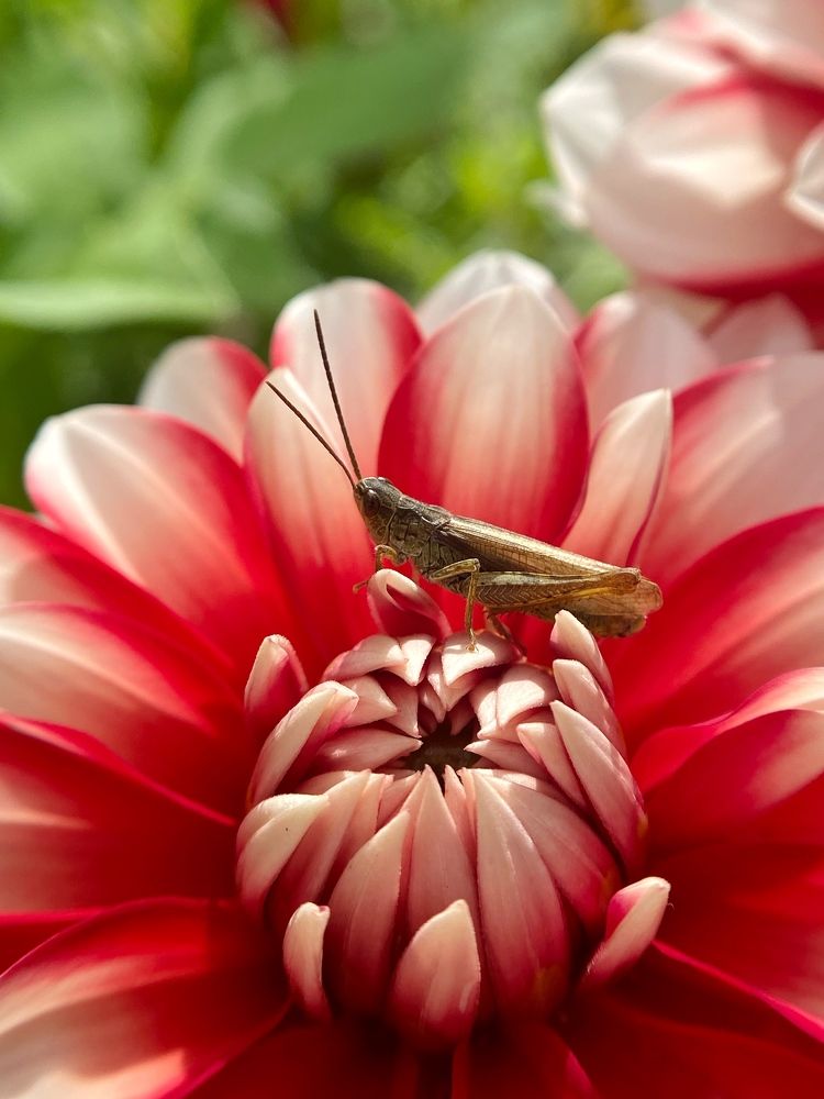 Photograph by Станислава Садыкова