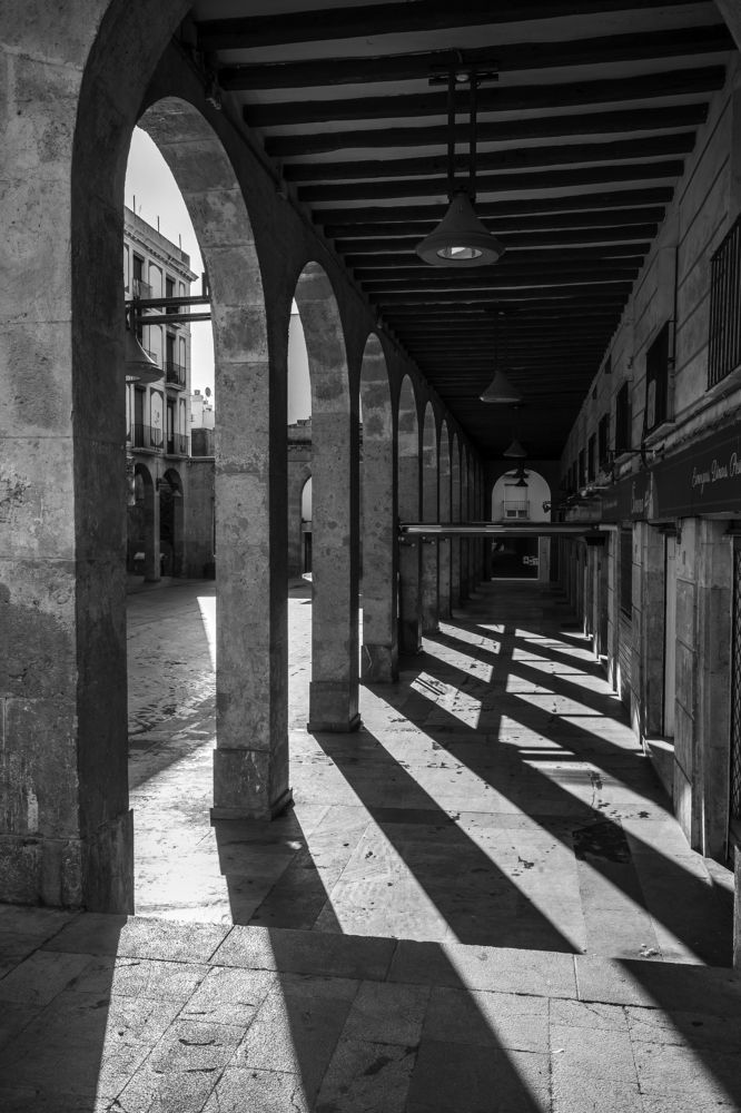 Photograph by Александр Журавлев