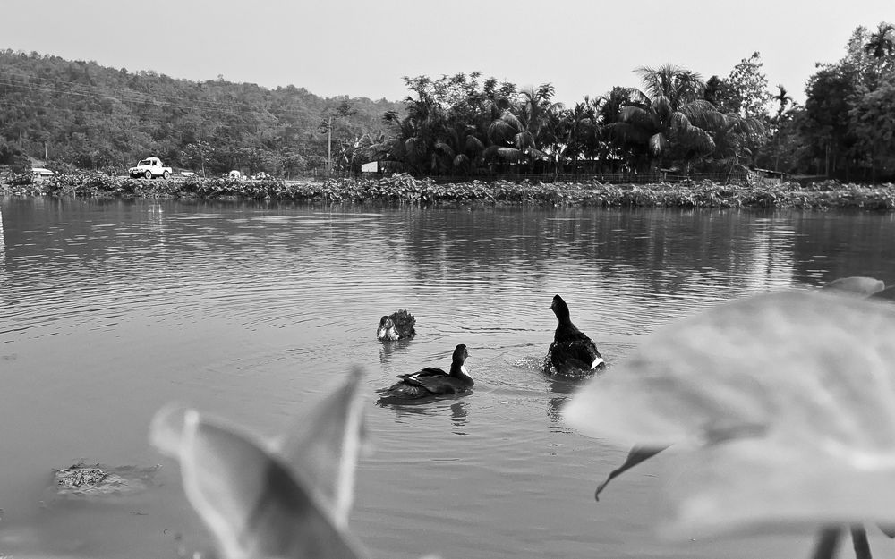 Photograph by Sz Chawnghlut