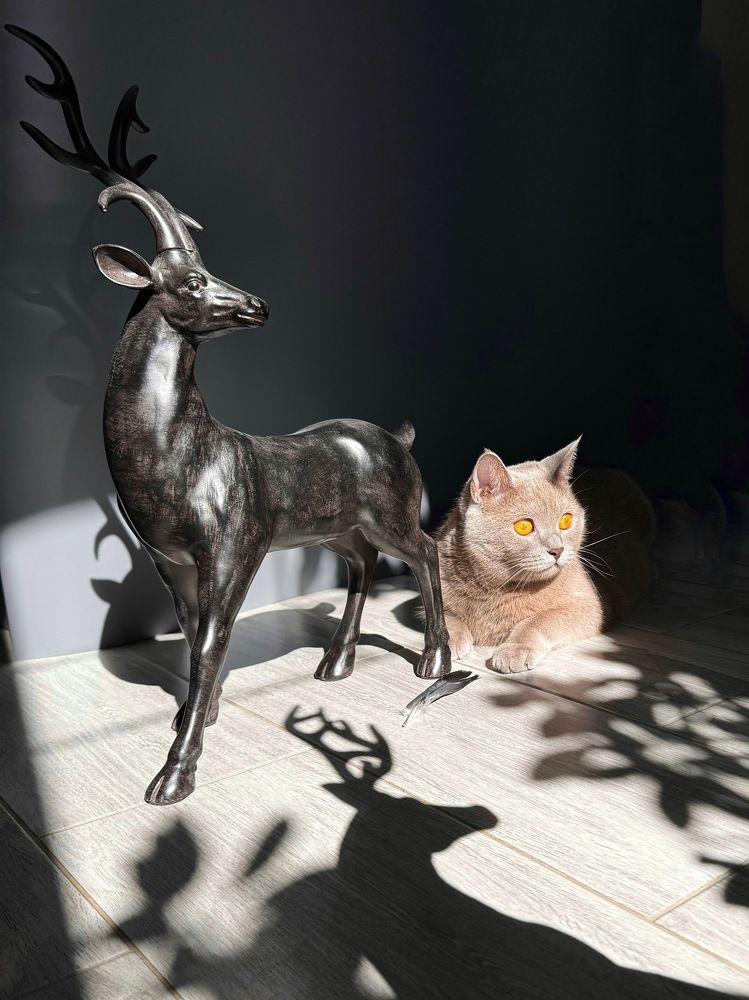 Photograph by Zhanna Kolesnikova