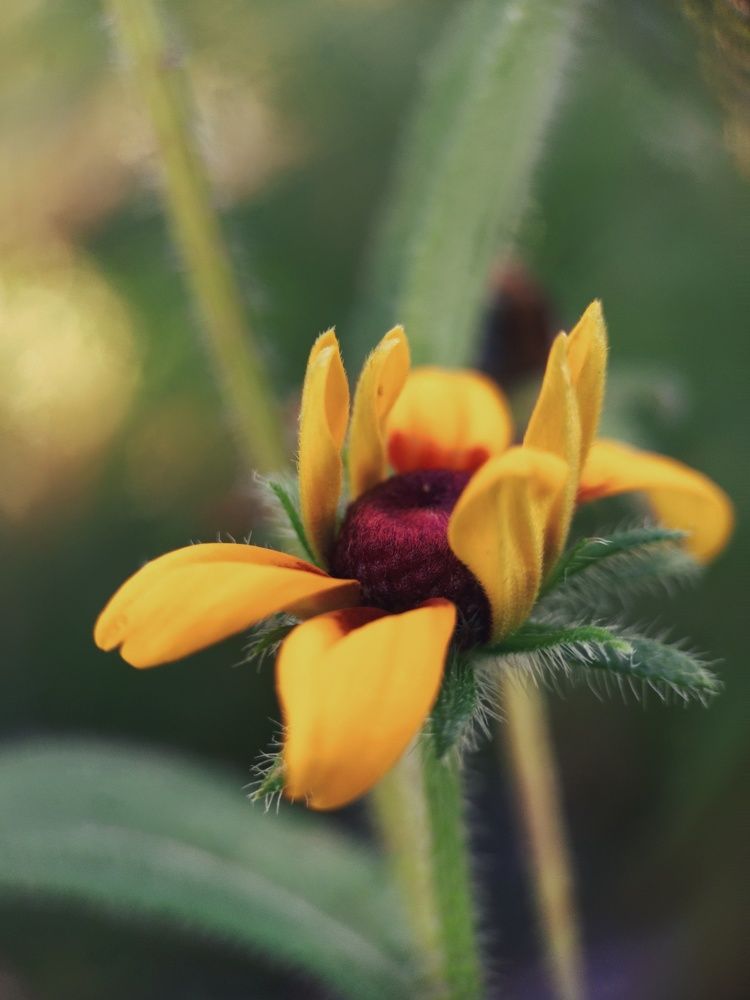 Photograph by Ольга Юминова