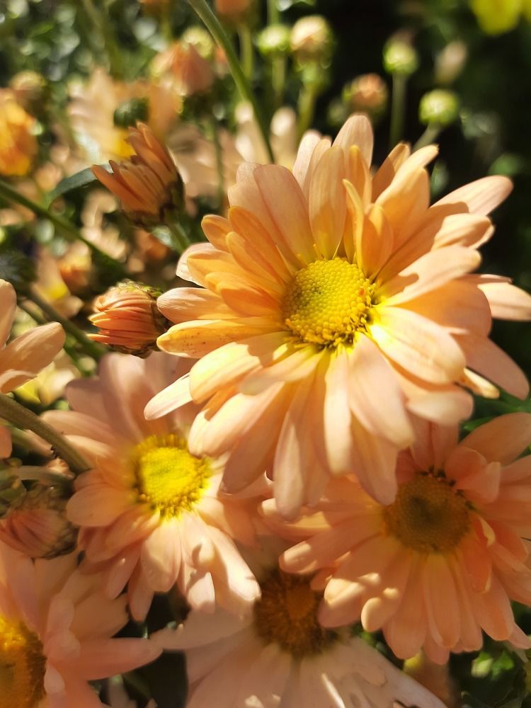 Photograph by Татьяна