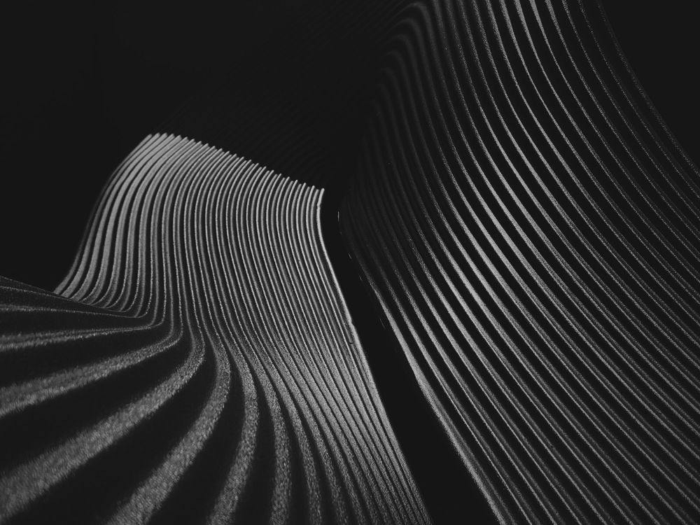 Photograph by Shapelined