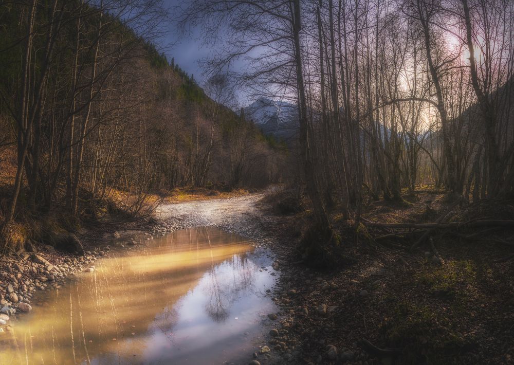 Photograph by Дмитрий Шавловский