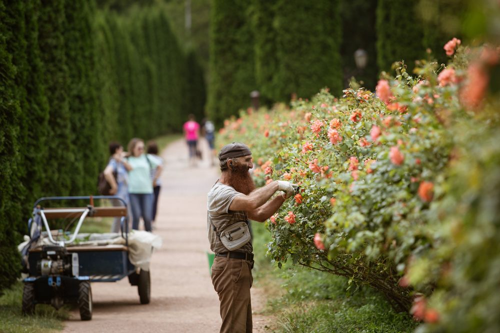 Photograph by Виталий Са