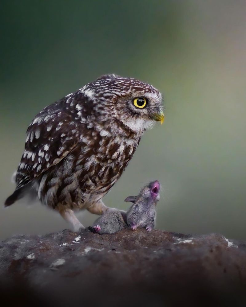 Photograph by Alexandra Surkova