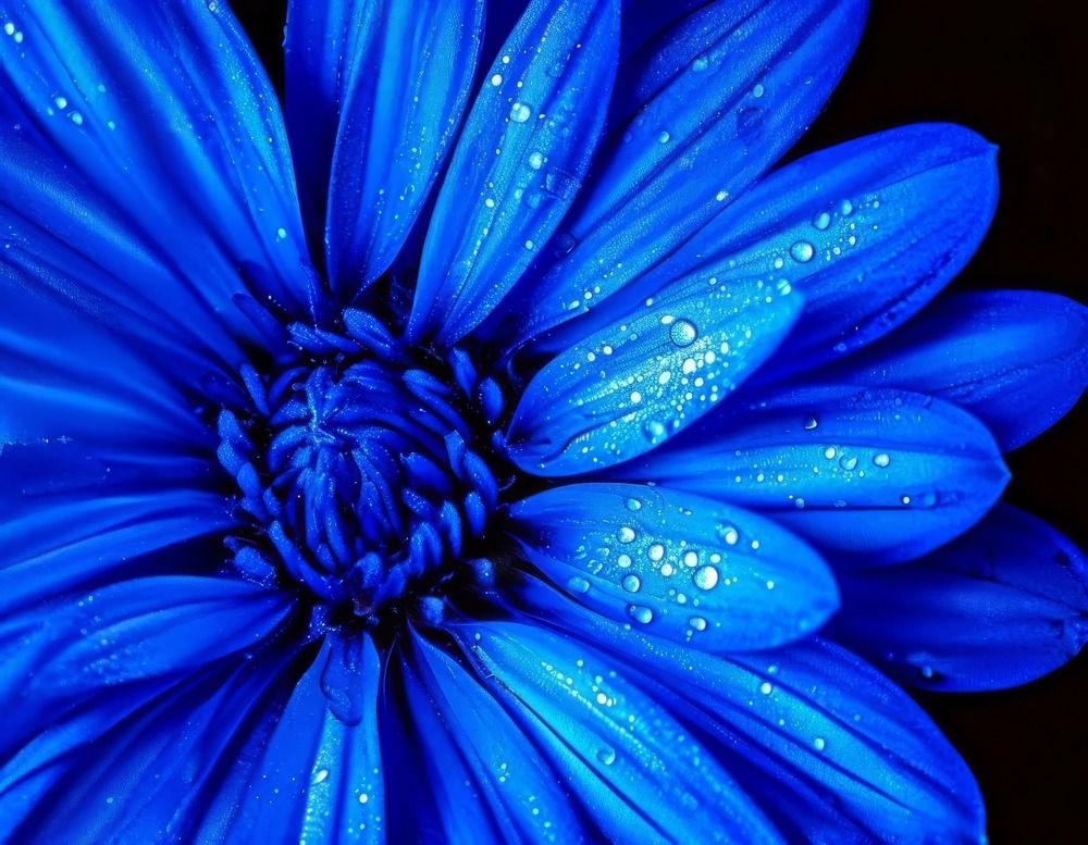 Фотография автора Vladimir Strochenkov