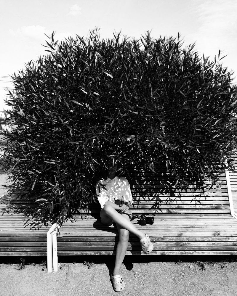 Photograph by Алина