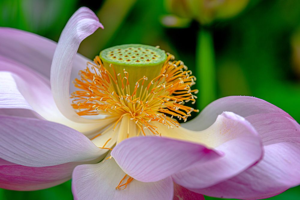 Photograph by константин