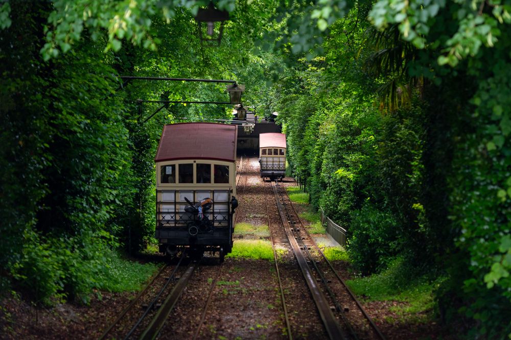 Photograph by Гребенников Сергей