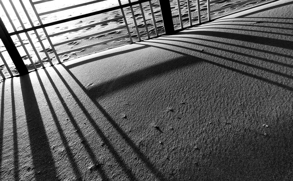 Фотография автора Шипунова Ирина