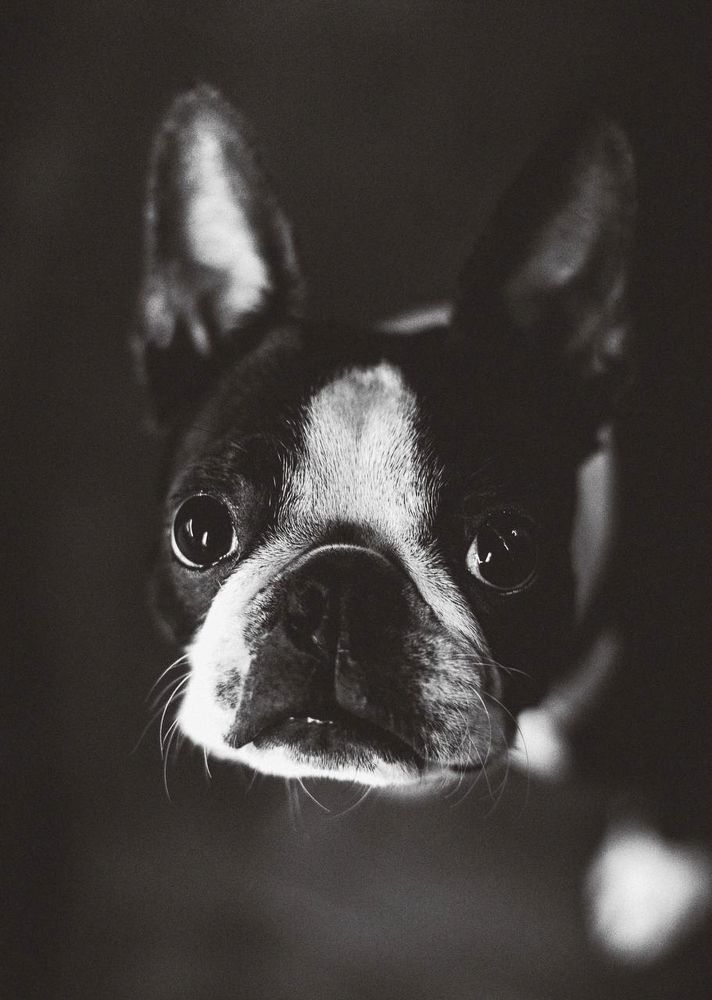 Photograph by Max Vegas