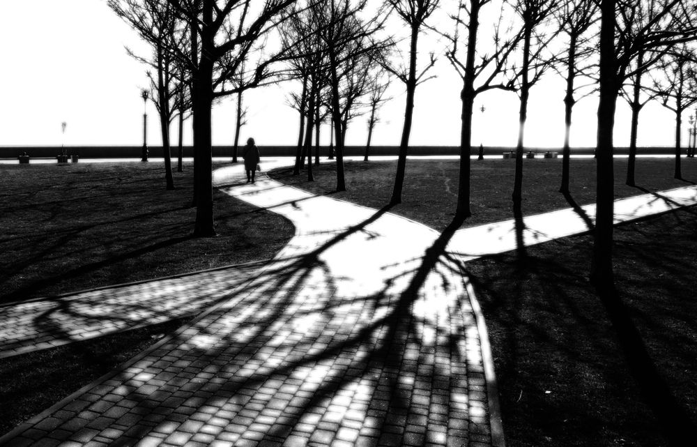 Фотография автора Сергей Гречихин