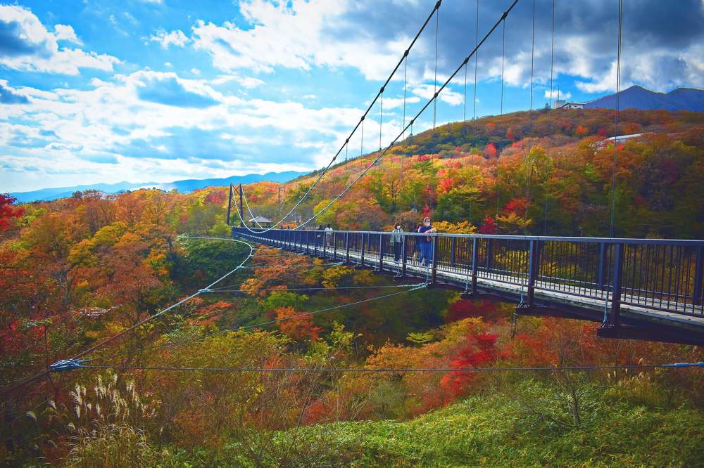 Фотография автора Sen Abhijit