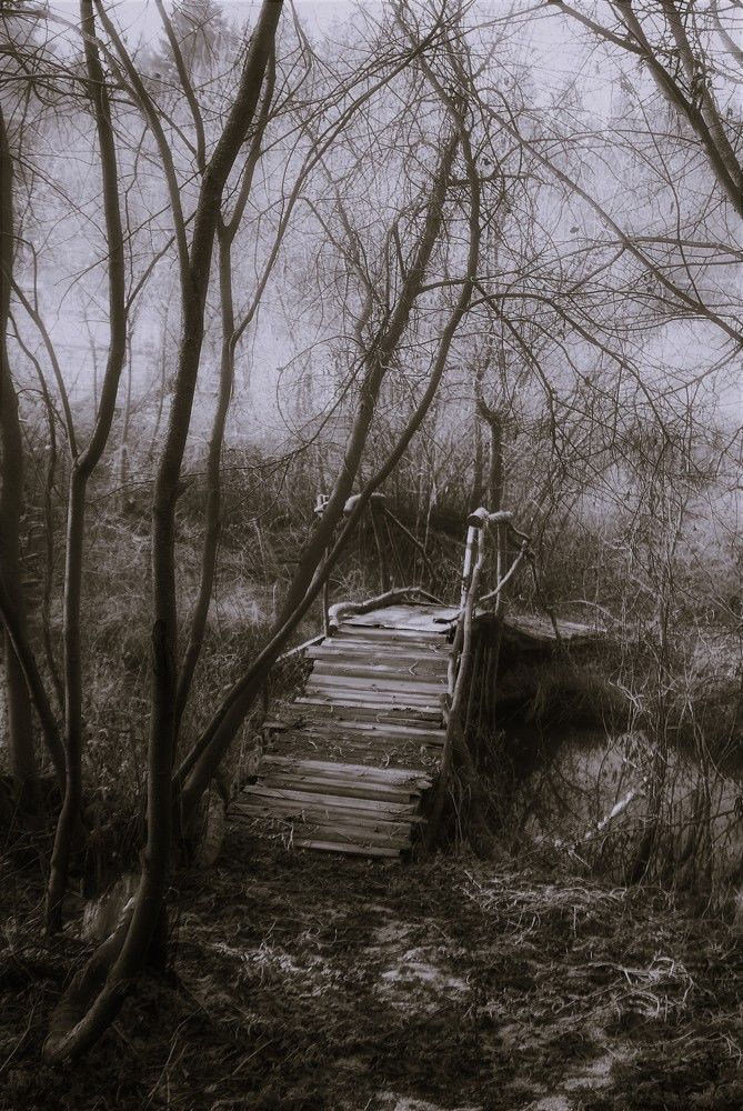 Photograph by Борис Юрьев