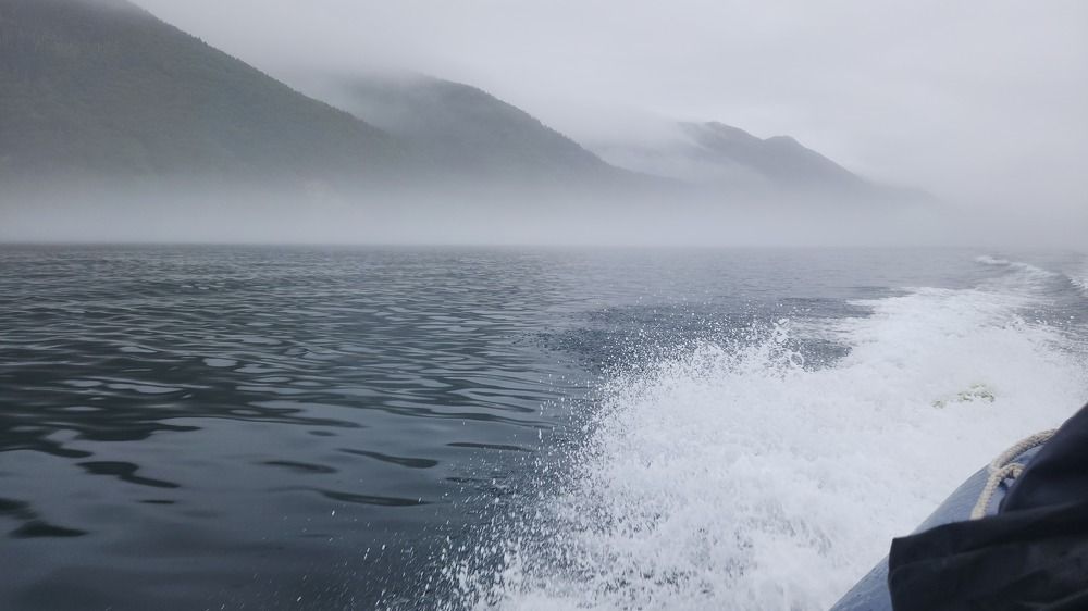 Photo #10939685