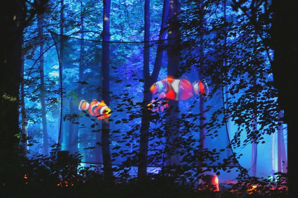 Photograph by Анастасия Свиридова