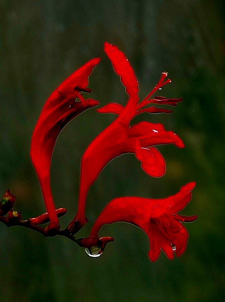 Photograph by Татьяна Солтан