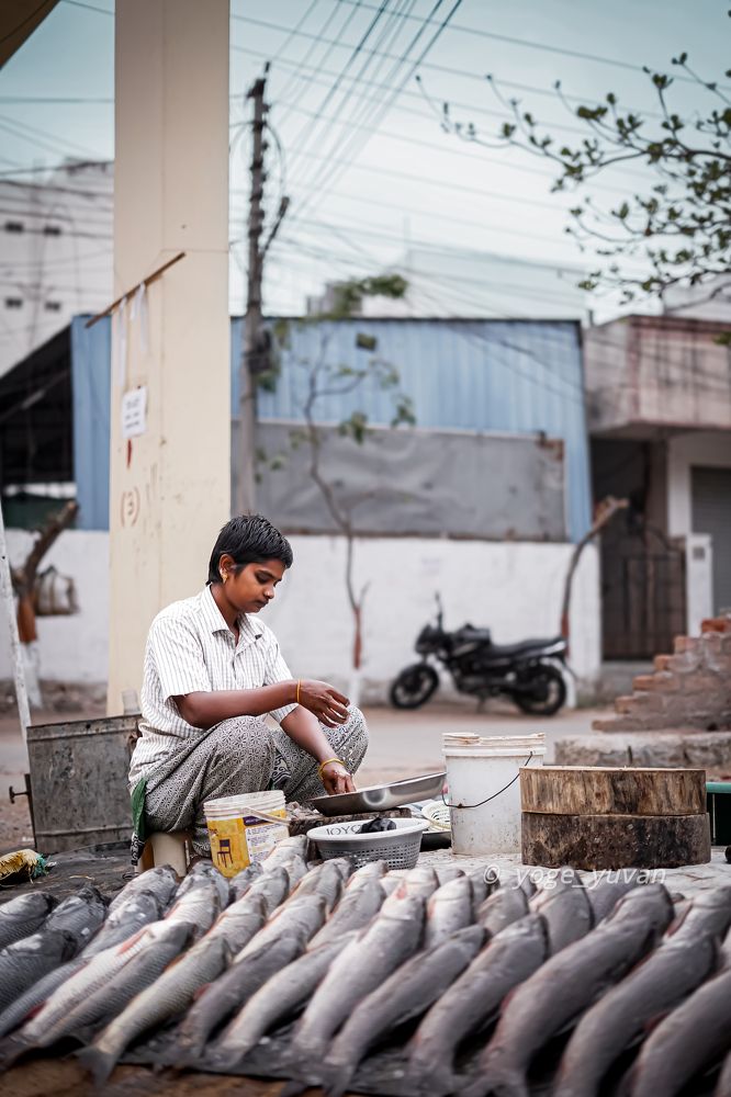 Photograph by Yogi_Beats