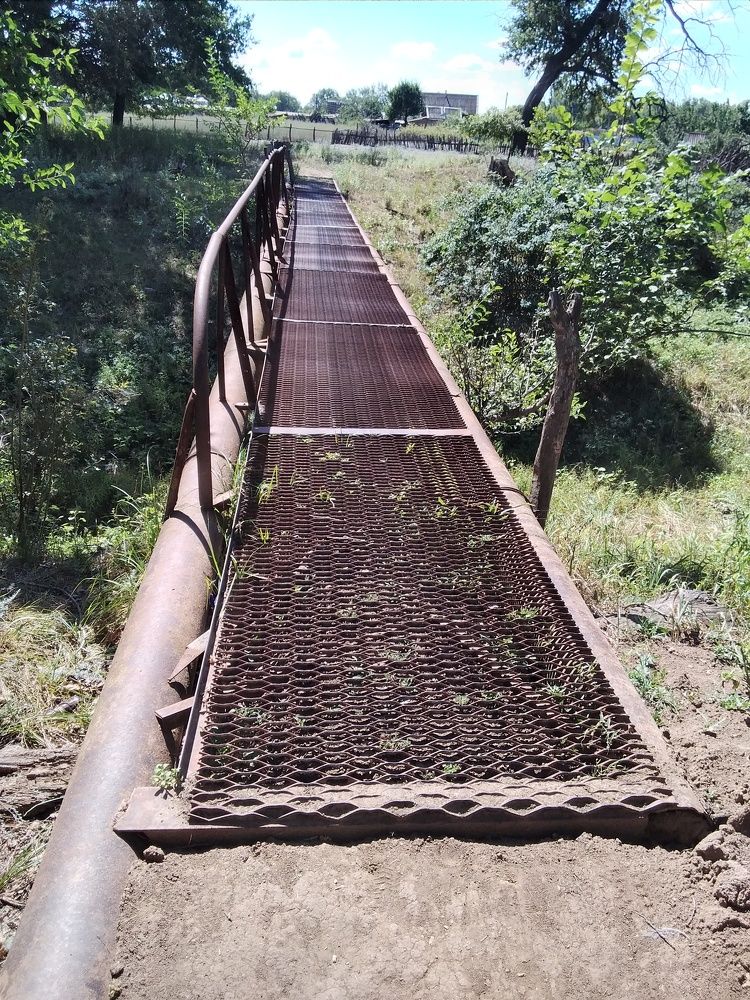 Photograph by Марта Васильева