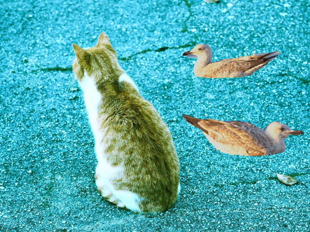 Photograph by Сергей Борисов