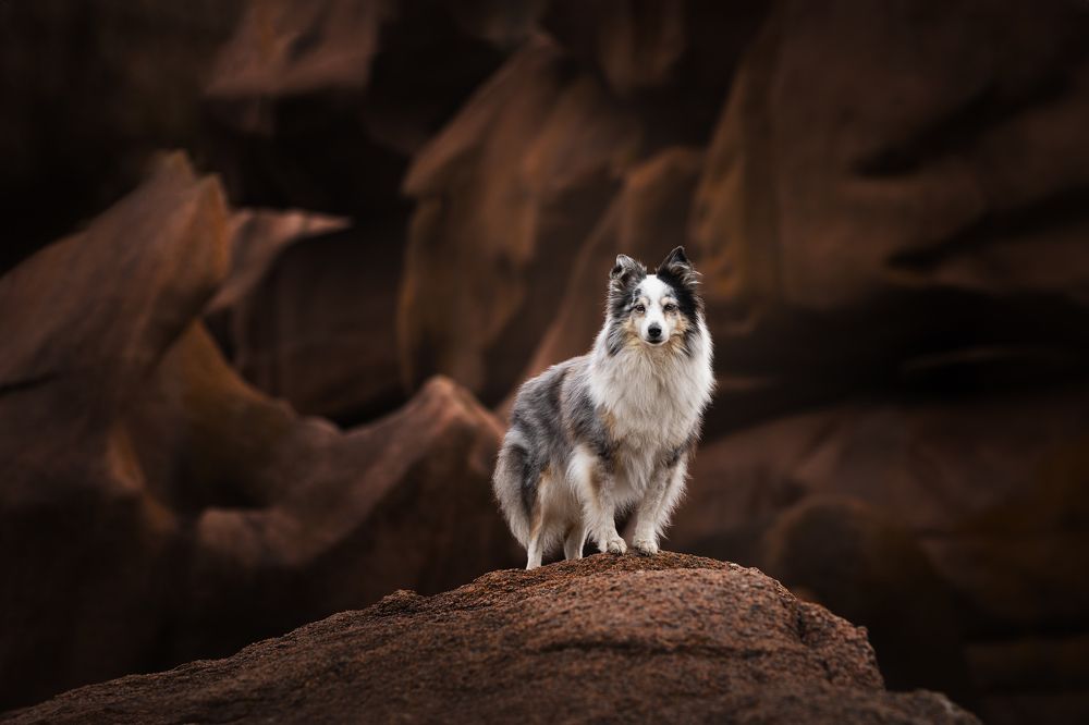 Photograph by Daniela Schmid