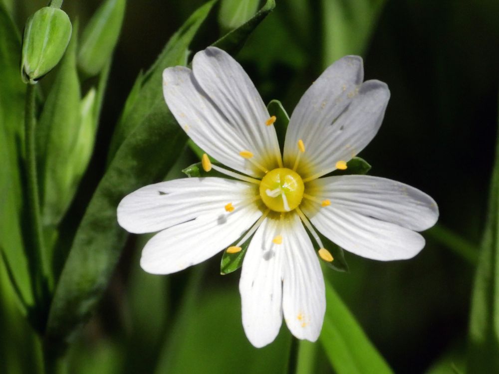 Фотография автора Владимир Соколов