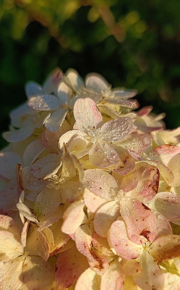 Photograph by Ксения Кравец