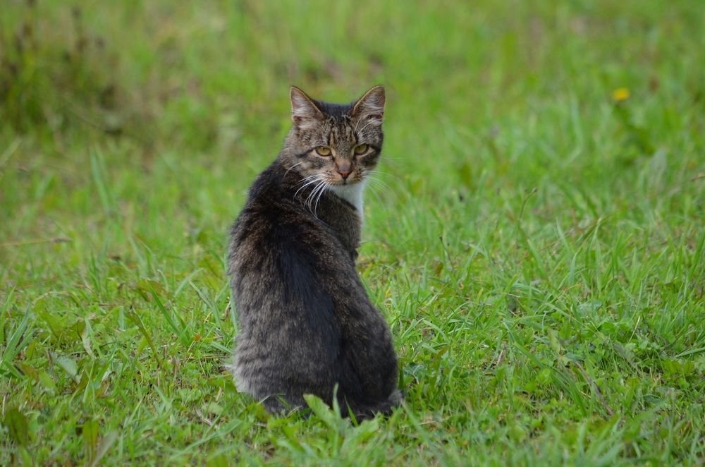 Photograph by Галина Катанова