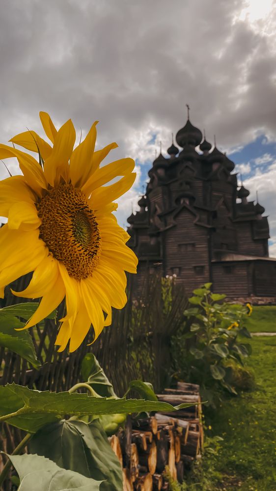 Фотография автора Наталья