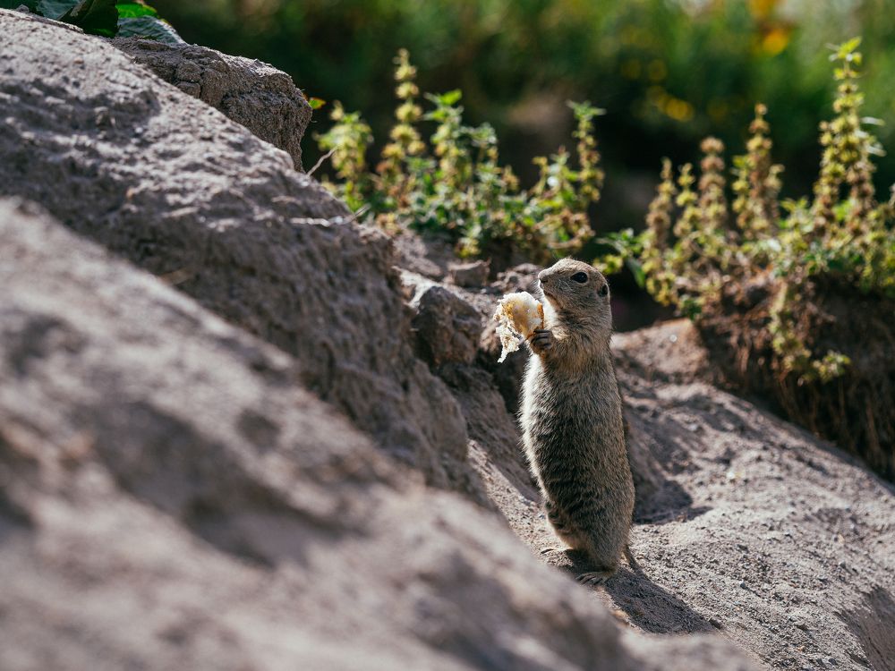 Photograph by Елена Чиркова