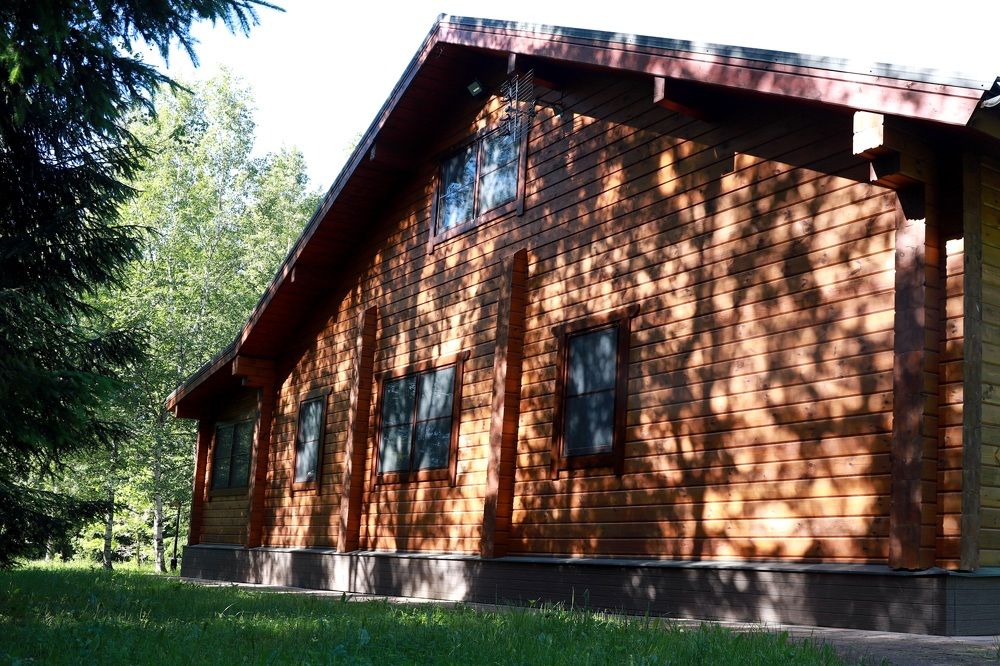 Photograph by Елена Тимченко