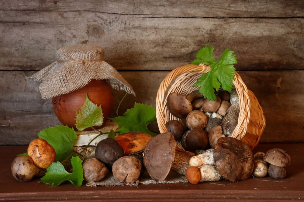 Photograph by Елена Рудкевич