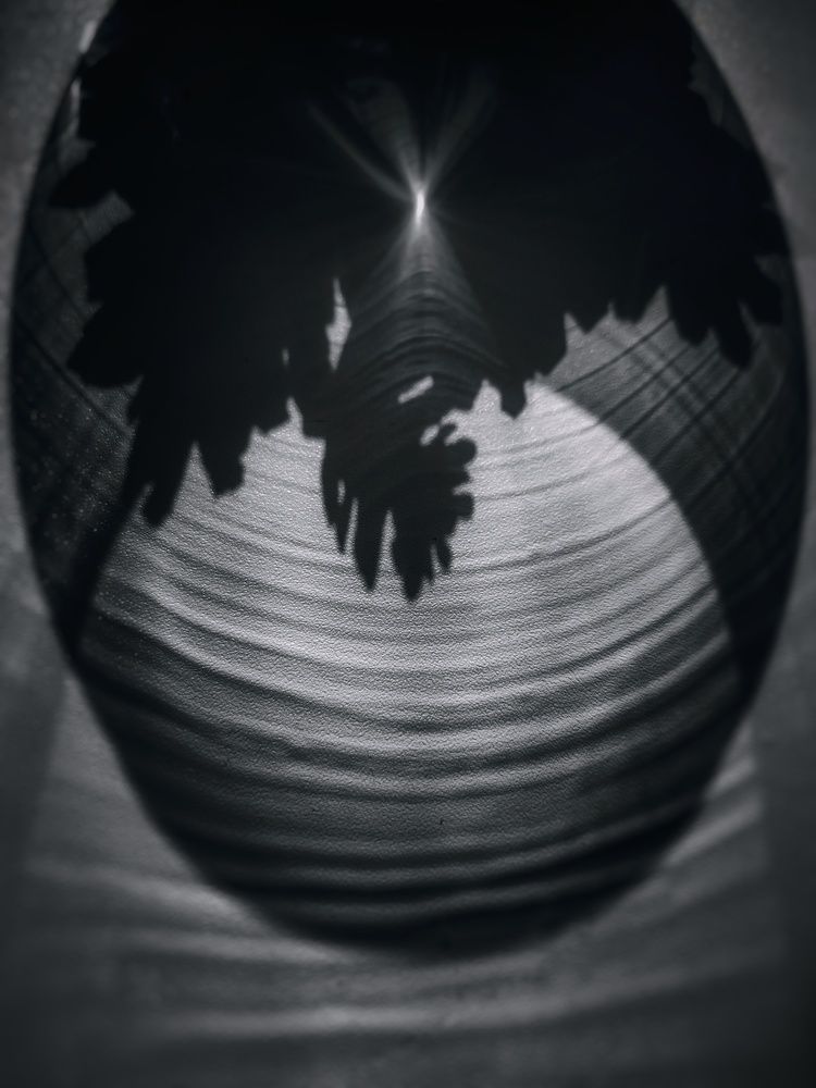 Photograph by Кристина Полякова