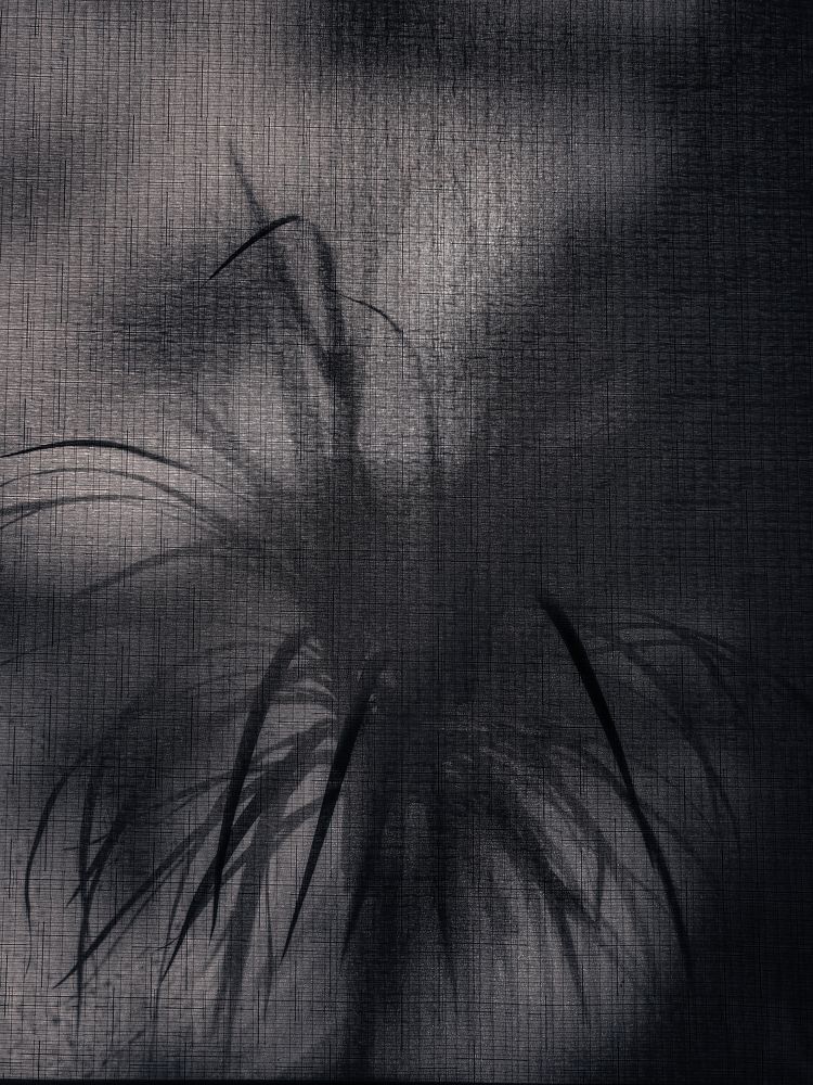 Photograph by Кристина Полякова